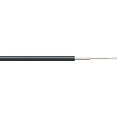 csm_HITRONIC_27400404_Product_1_8985d786c9492559f57383ab003deb4e747808f1_2153a5b1c1.jpg