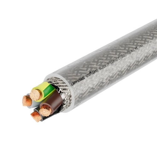 gfd65t46y54.jpg